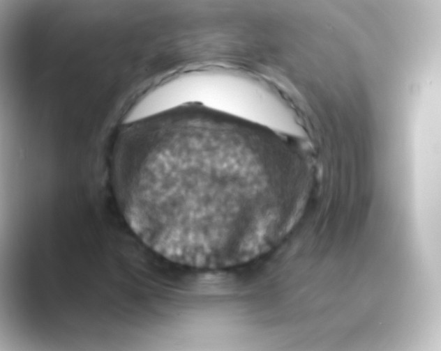 X0000088691160200706211921