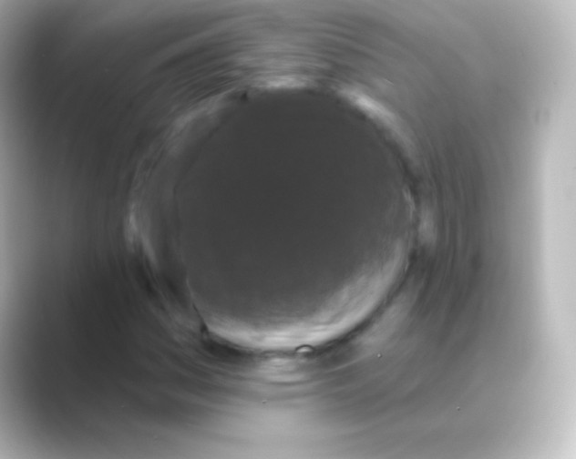 X0000088691161200706211921