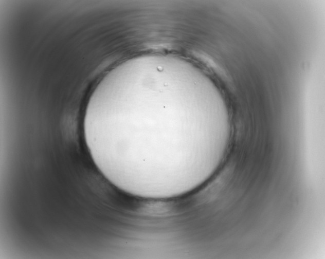 X0000088691162200706211921