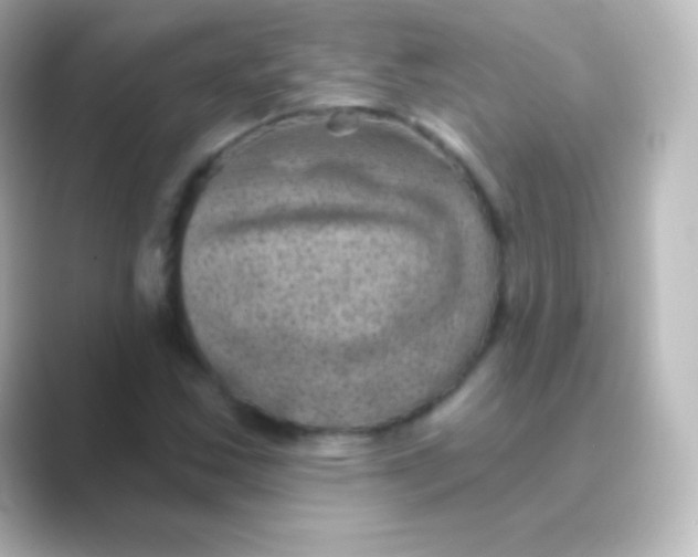 X0000088691163200706211921