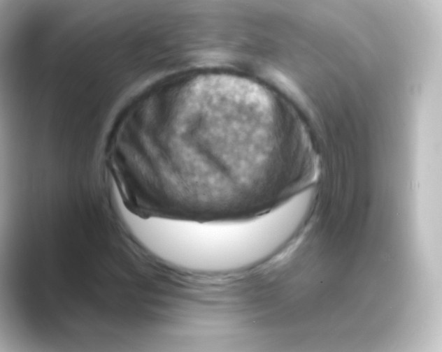 X0000088691164200706211921