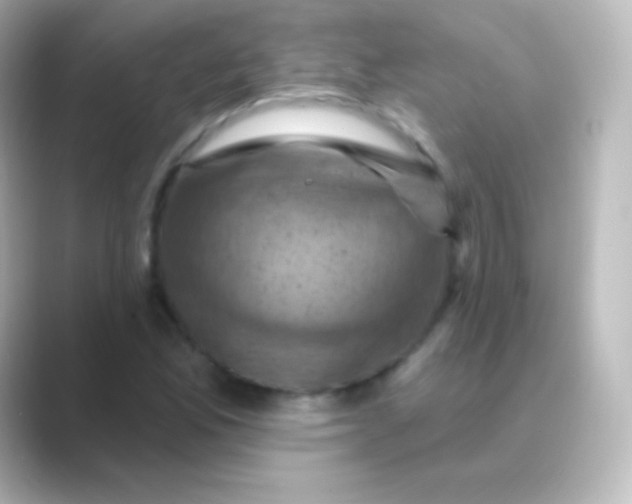 X0000088691165200706211921