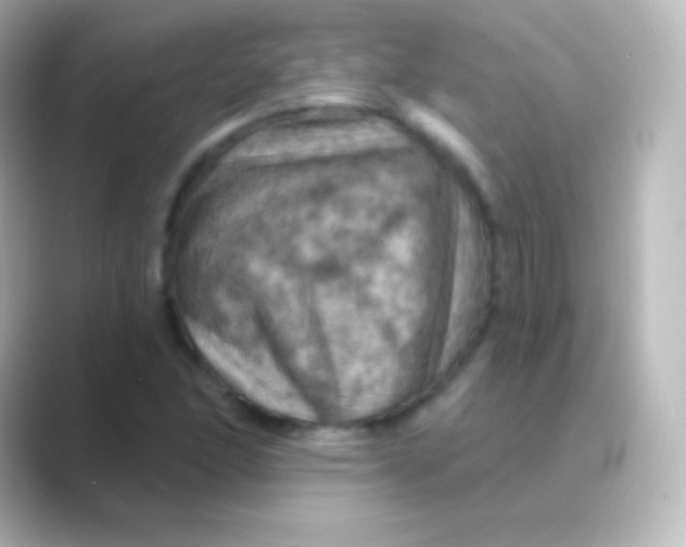 X0000088691166200706211921