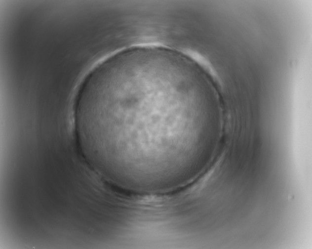 X0000088691167200706211921