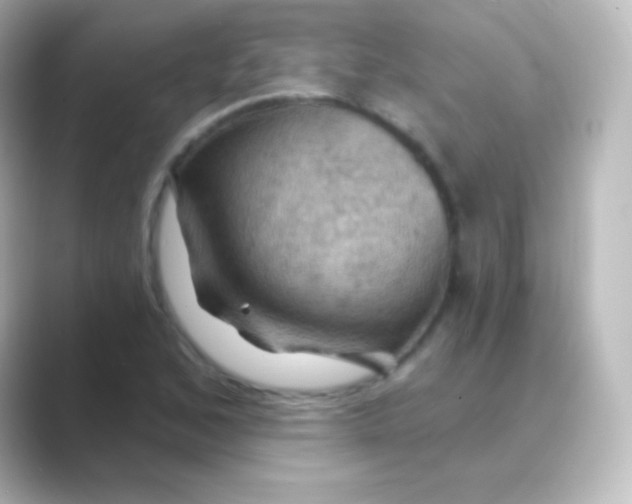 X0000088691168200706211921