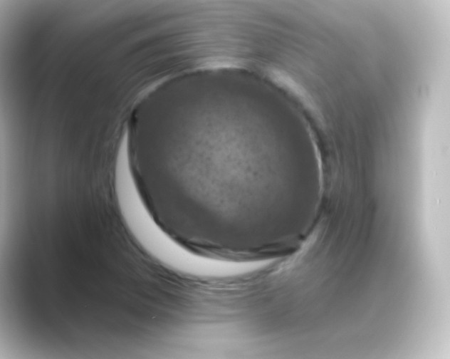 X0000088691169200706211921
