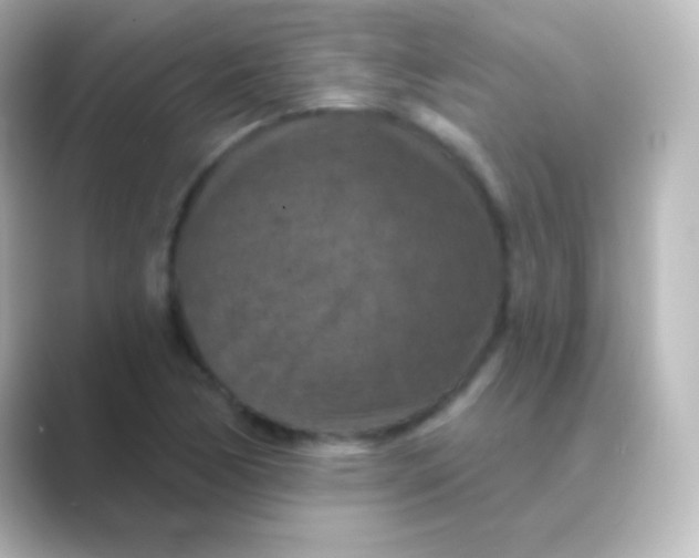 X0000088691170200706211921