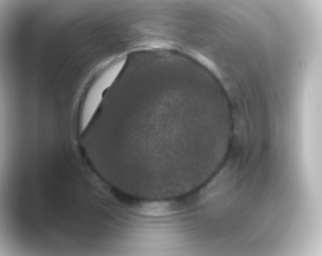 X0000088691171200706211921
