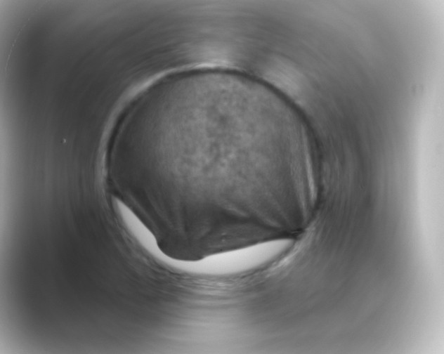 X0000088691172200706211921