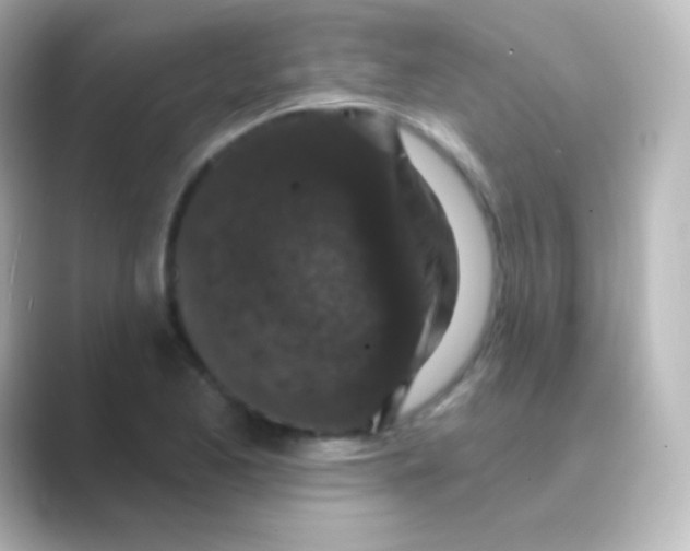 X0000088691173200706211921
