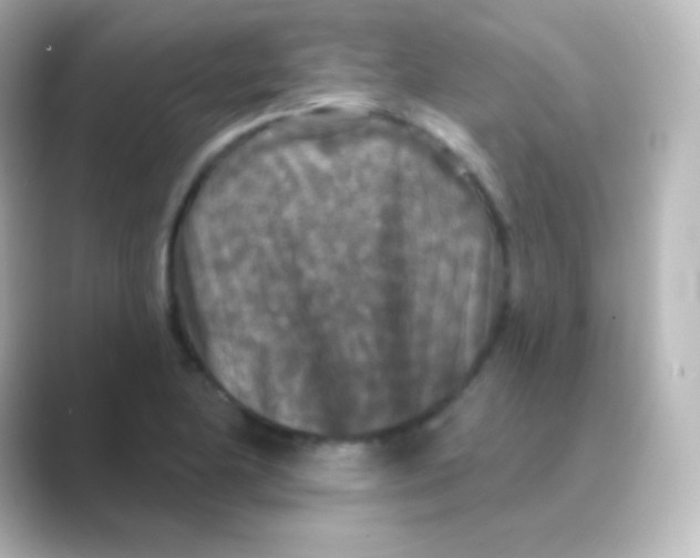 X0000088691174200706211921