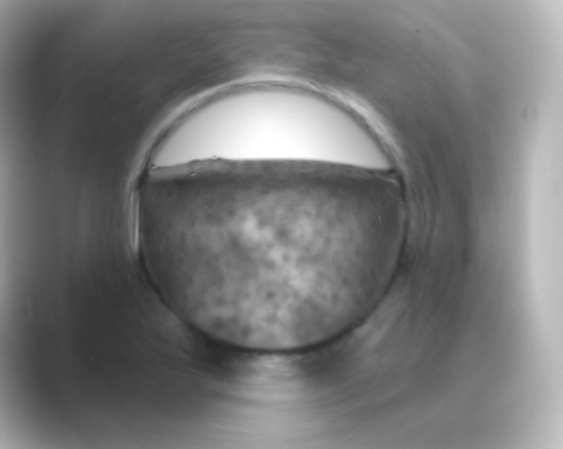 X0000088691175200706211921