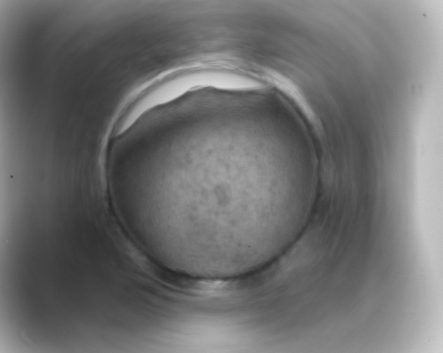 X0000088691176200706211921