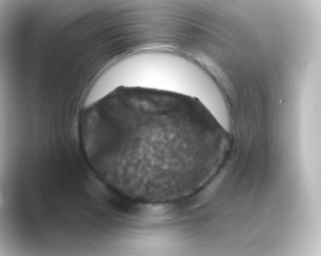 X0000088691177200706211921