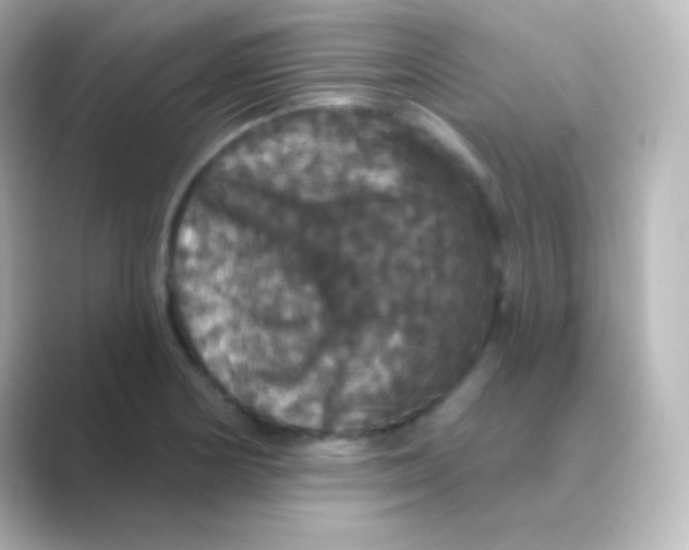 X0000088691178200706211921