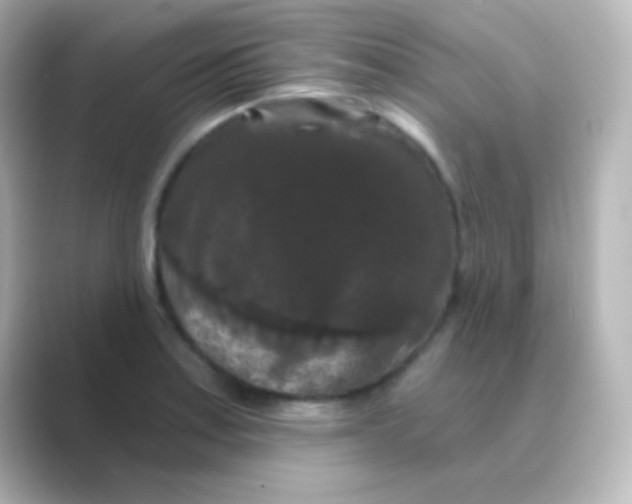 X0000088691179200706211921