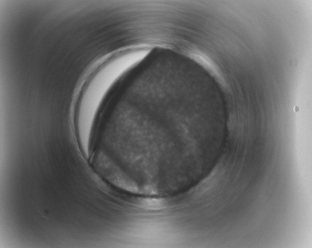 X0000088691180200706211921