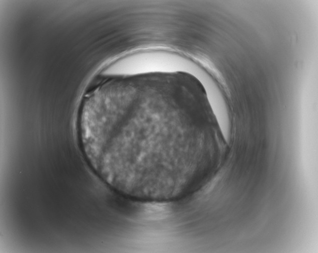 X0000088691181200706211921