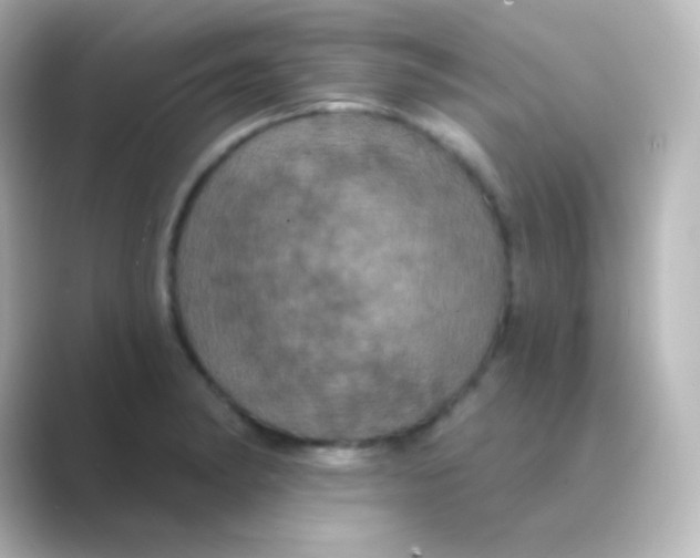 X0000088691182200706211921