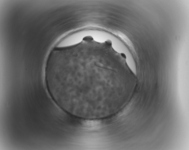X0000088691183200706211921