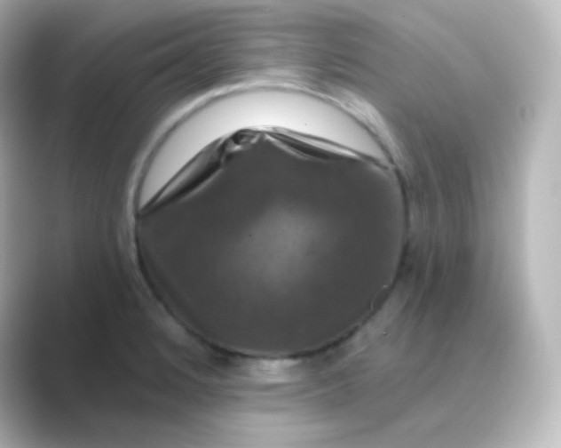 X0000088691184200706211921