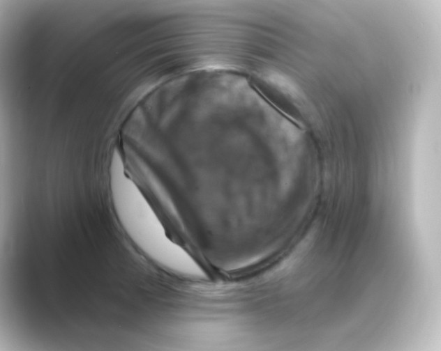 X0000088691185200706211921