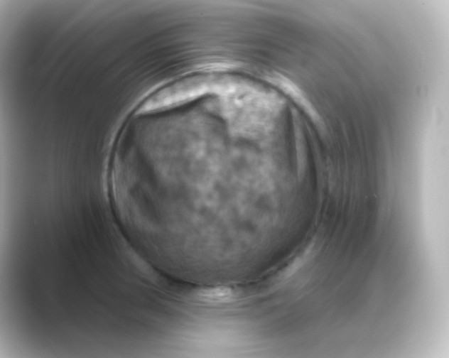 X0000088691186200706211921