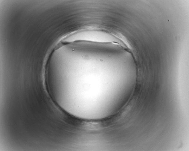 X0000088691187200706211921