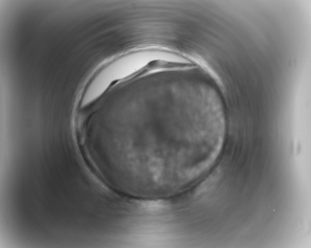 X0000088691189200706211921