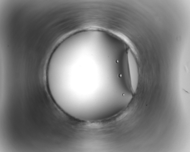 X0000088691191200706211921