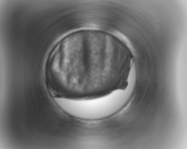 X0000088691192200706211921