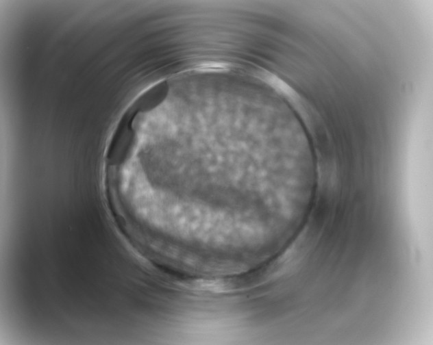 X0000088691194200706211921