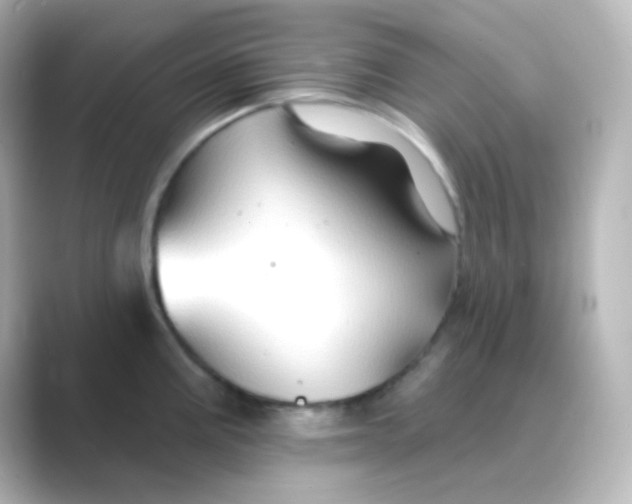 X0000088691195200706211921