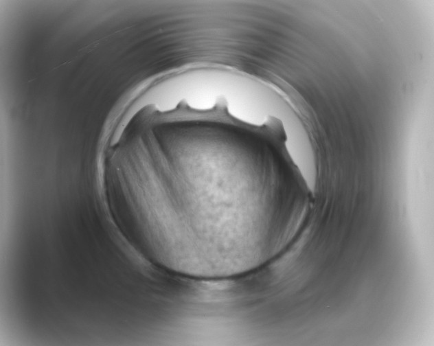 X0000088691196200706211921
