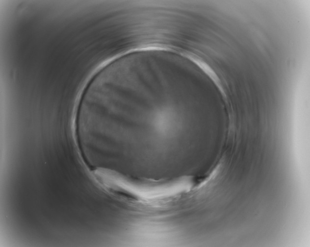 X0000088691197200706211921
