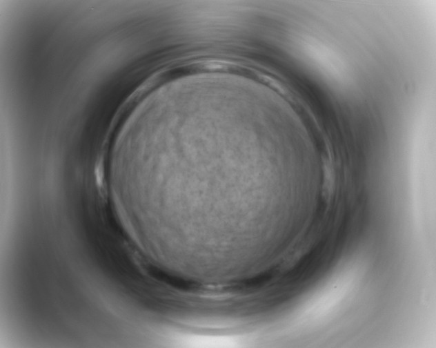 X0000088691198200706211921