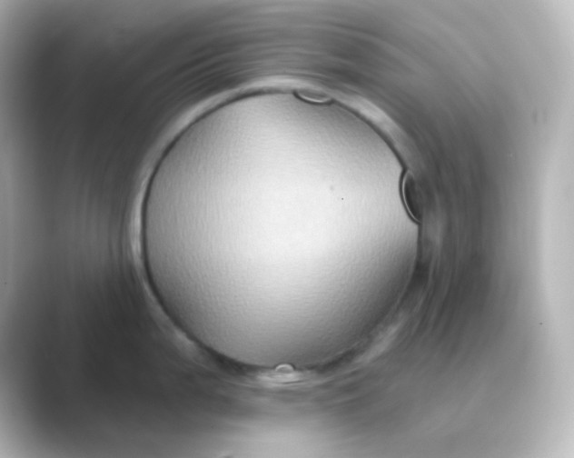 X0000088691199200706211921