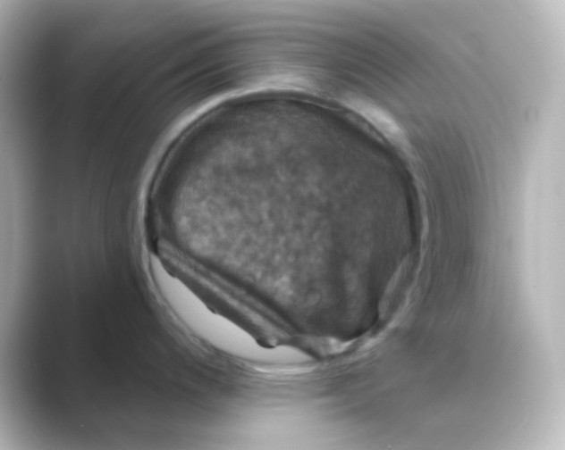 X0000088691200200706211921