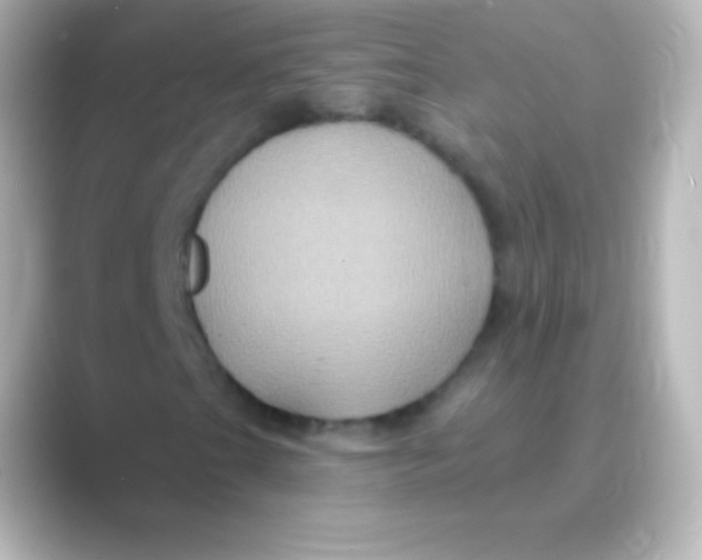 X0000088691201200706211920