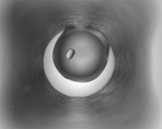 X0000088691202200706211920