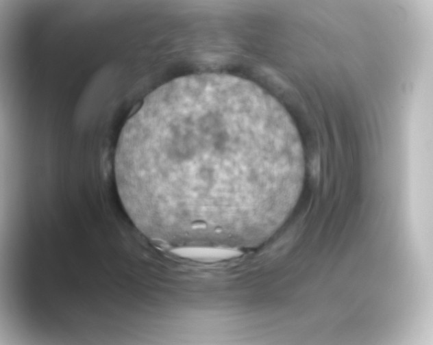 X0000088691204200706211920