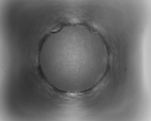 X0000088691205200706211920