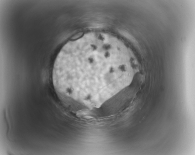X0000088691208200706211921