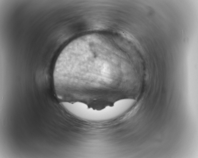 X0000088691210200706211921
