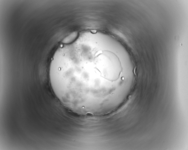 X0000088691211200706211921