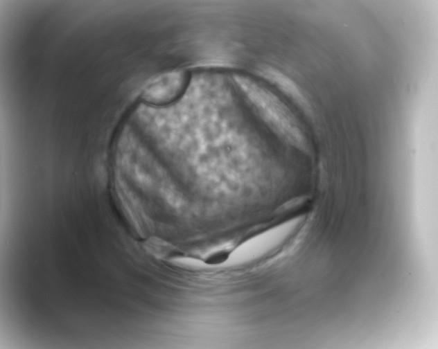X0000088691212200706211921
