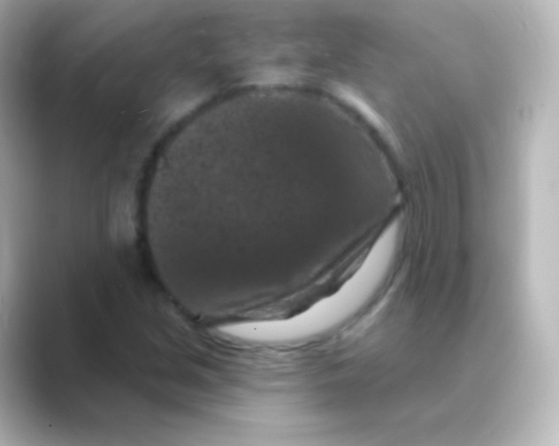 X0000088691213200706211921