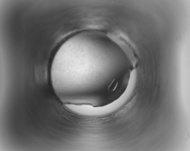 X0000088691214200706211921