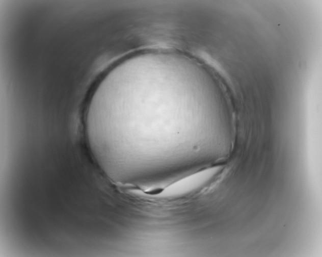 X0000088691215200706211921