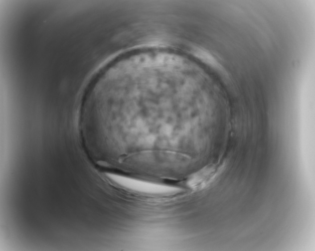 X0000088691216200706211921